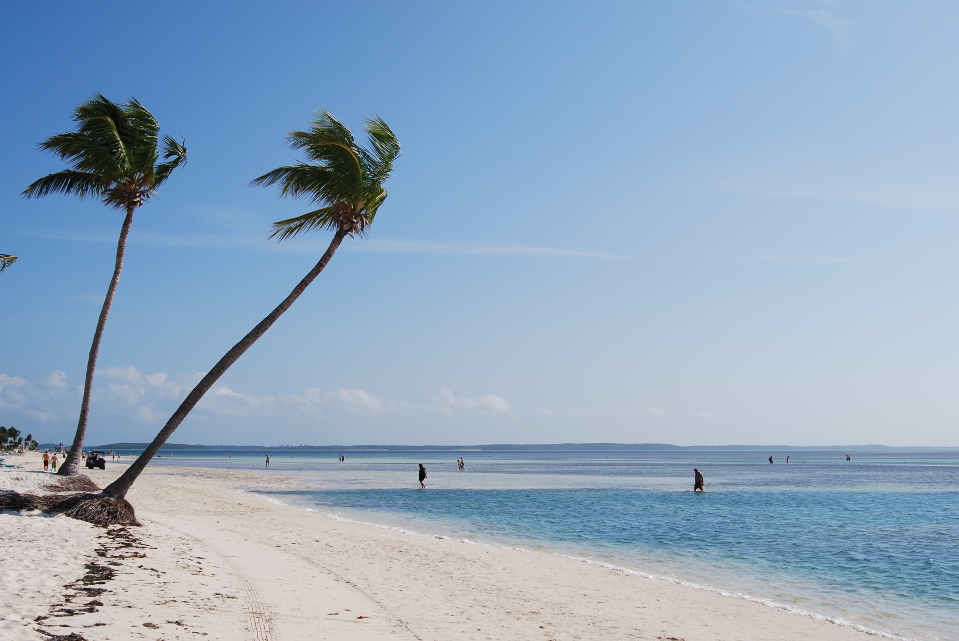 hagelwit palm strand | Coco Cay